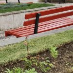 Spunti per coach e non – 2