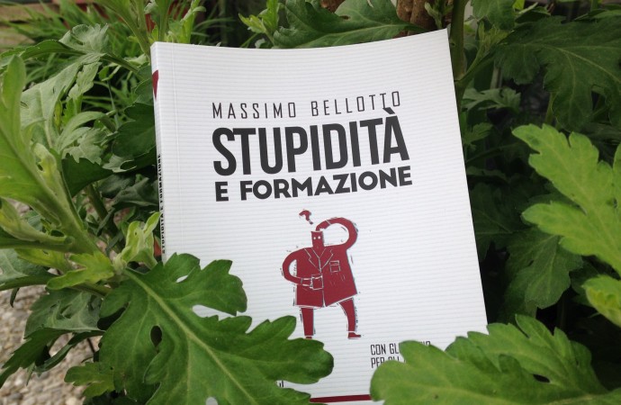 Stupidità e formazione