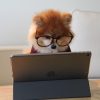 Online teaching