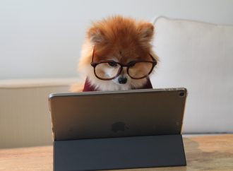 Online teaching