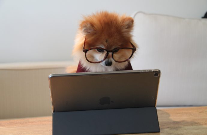 Online teaching