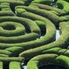 Avoiding Stereotyping and Case Studies