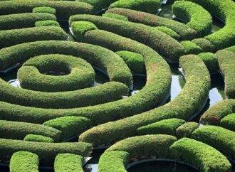 Avoiding Stereotyping and Case Studies