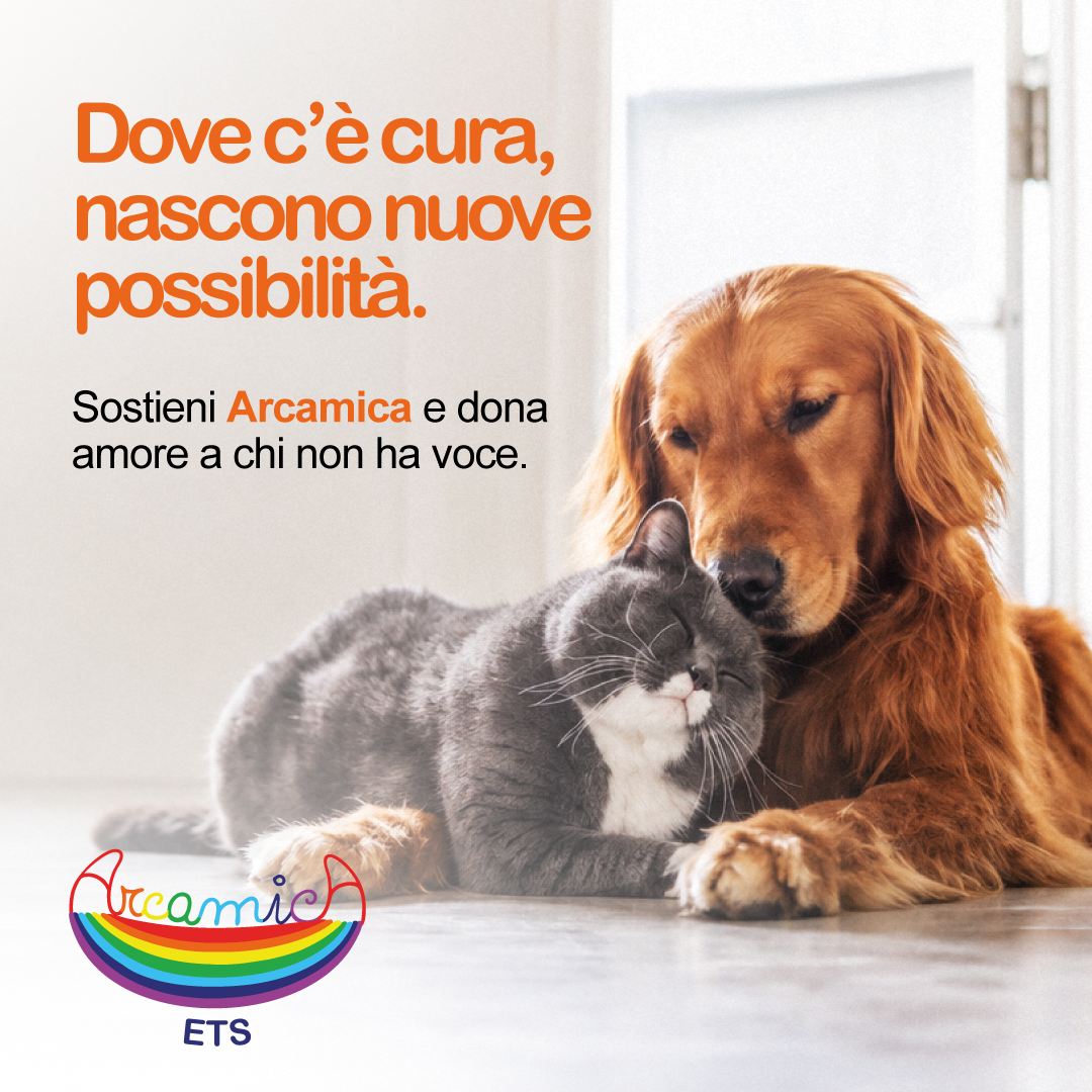 banner-arcamica1.png